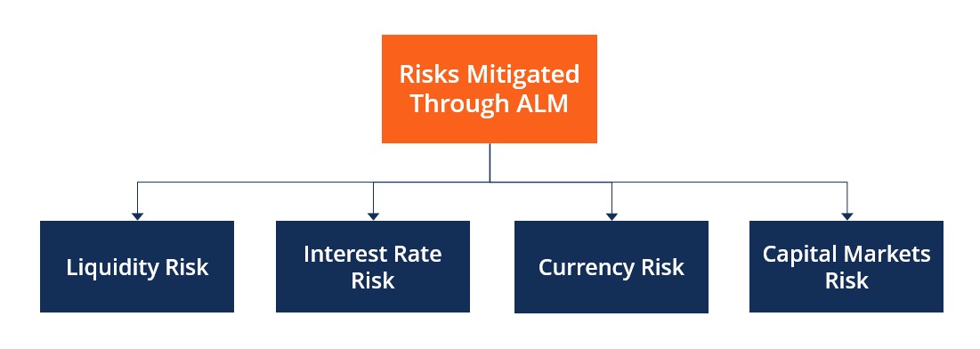 Alm Management