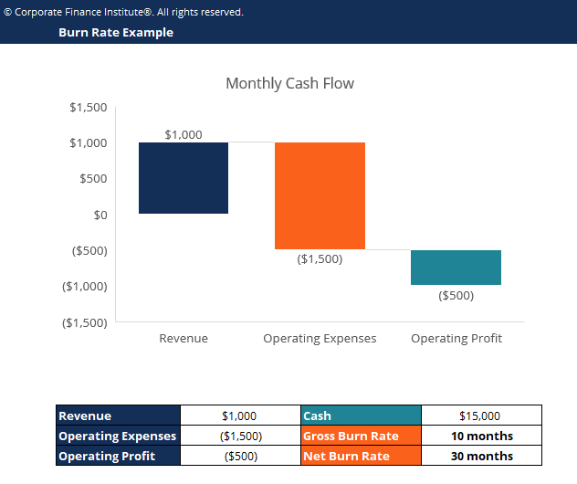 Burn Rate Template Screenshot