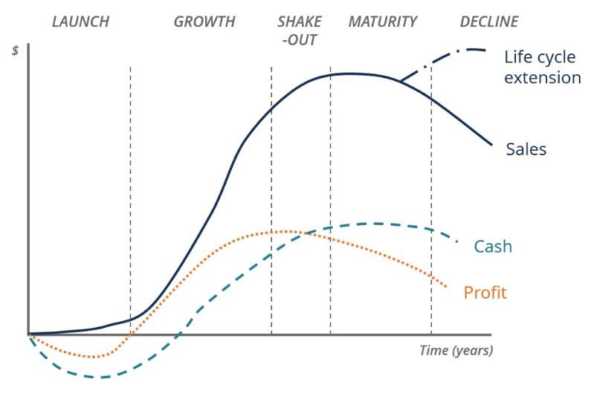 Business Life Cycle - Understanding the 5 Different Stages