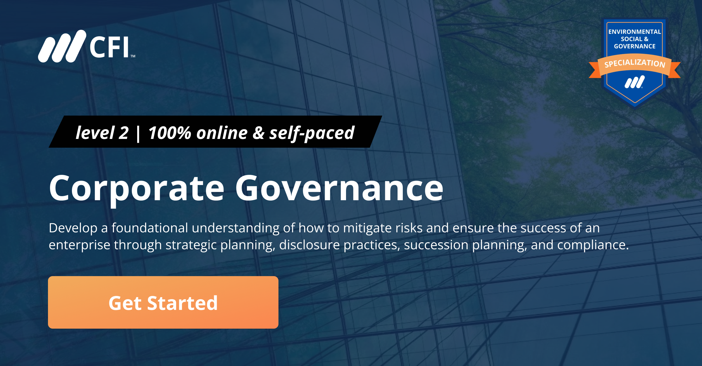 corporate-governance-guidelines-strategy