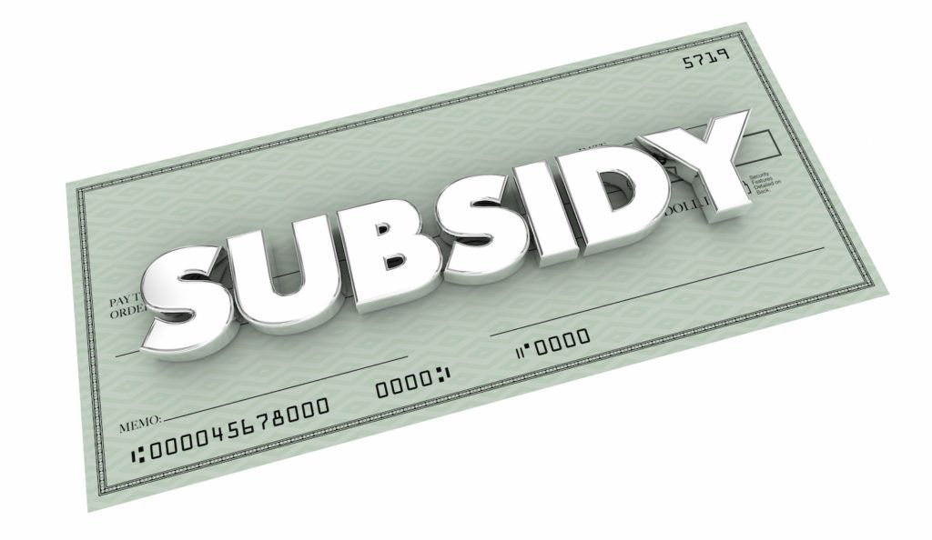 Subsidy Overview, Examples, Advantages and Disadvantagges