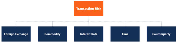 Transaction Risk - Definition, Example, How To Manage