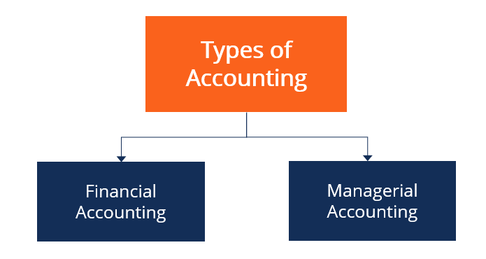 Accounting - Types