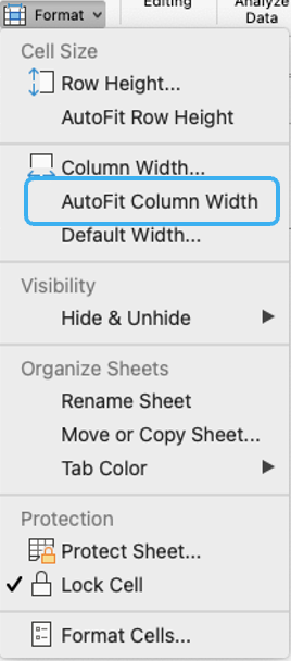 AutoFit Column Width