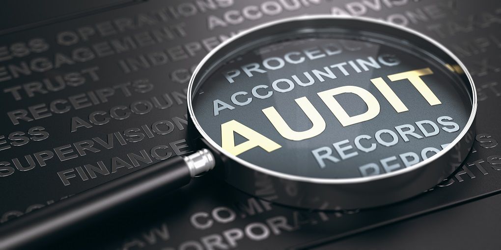 Audit - Overview, How It Works, Stages and Levels