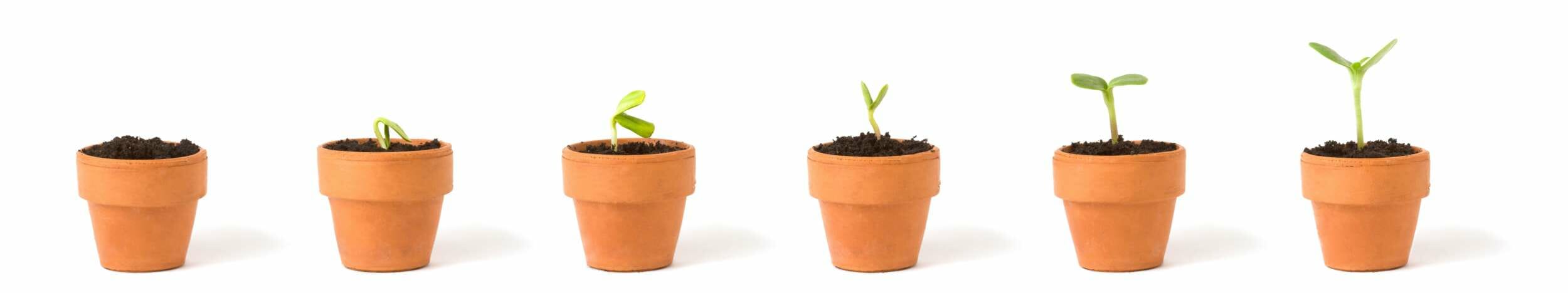 Say Good-bye to Procrastination - Break into Chunks