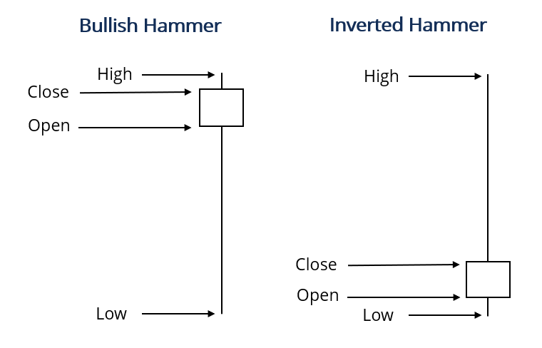 Bullish Hammer and Inverted Hammer