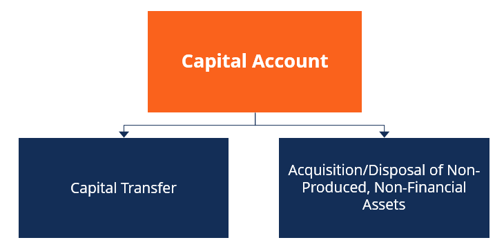 Capital Account Subaccounts Diagram