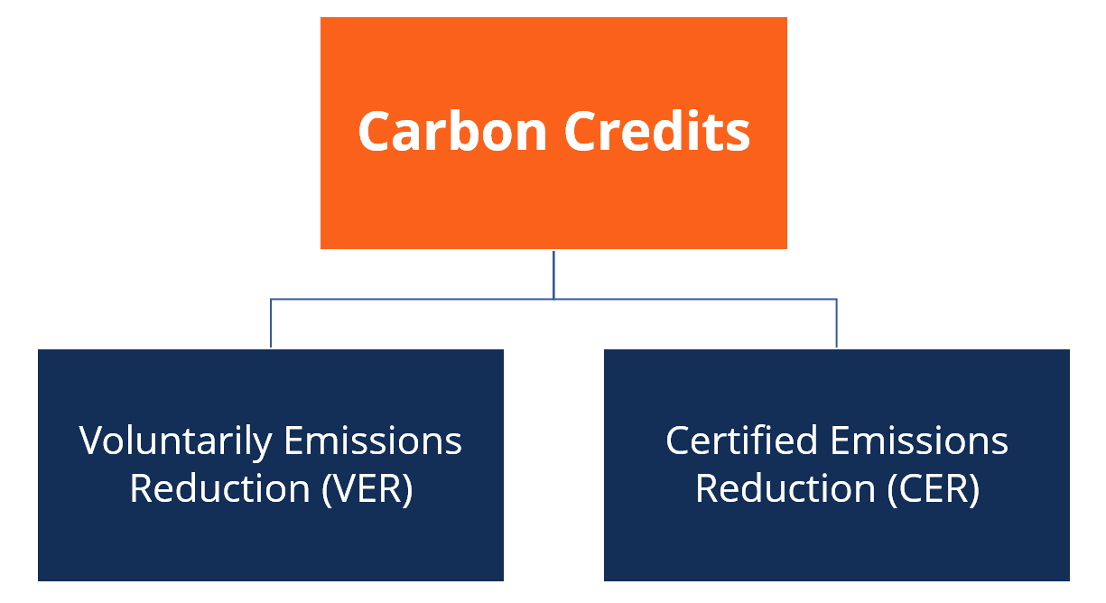 Types of Carbon Credits