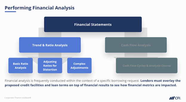 Performing Financial Analysis