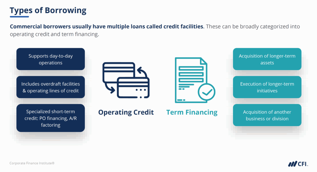 Commercial Lending Career Profile - Types of Borrowing