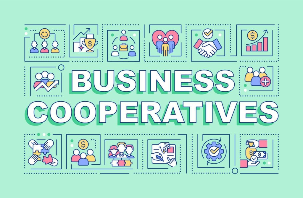 cooperative in a business plan