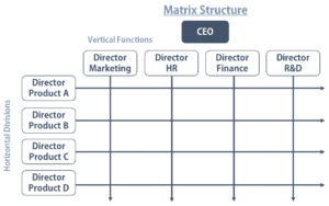 hybrid design organizational structure