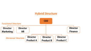 Corporate Structure Different Types Of Organizational Structures