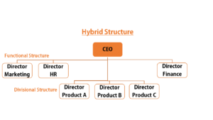 Small Accounting Firm Organizational Chart