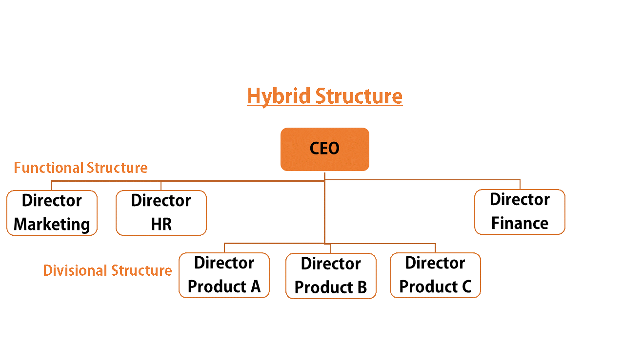 corporate structure1