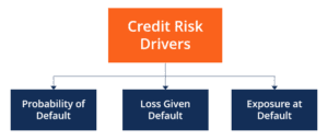 Credit Risk Analysis - Overview and Purpose