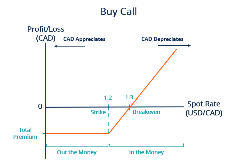 Currency Option - How It Works