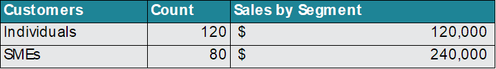 Sales by Segment Table