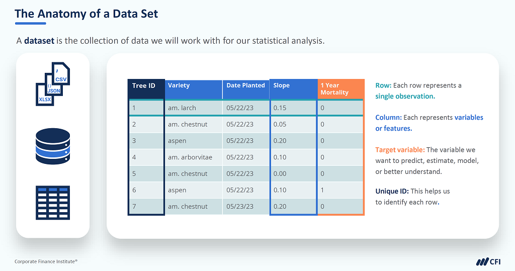 Data Analyst vs Data Scientist: A Comparison | CFI
