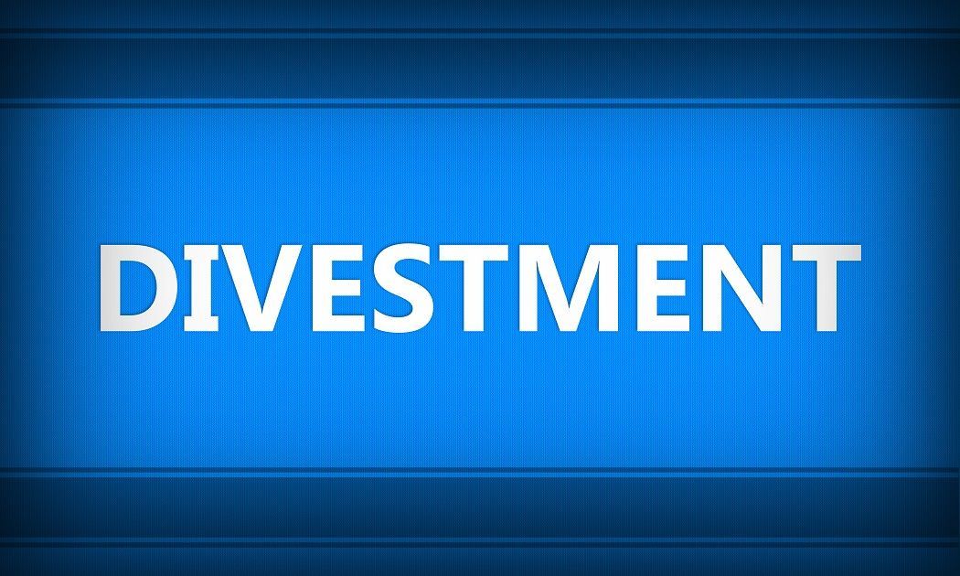 Divestment - Overview, Reasons, Challenges