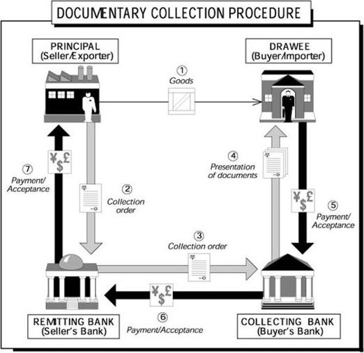 Documentary Collection - Overview, Process, and When to Use It