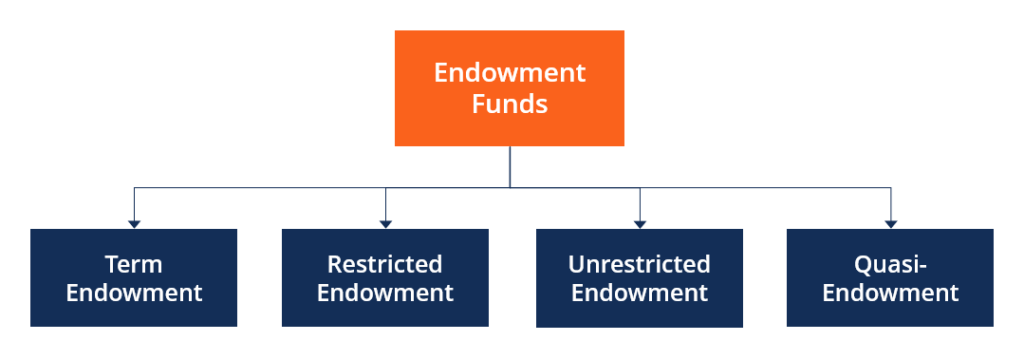 Endowment Funds - Funds