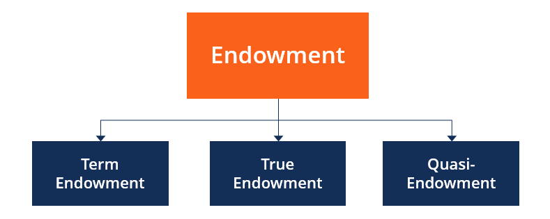 Endowment - Types