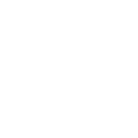 Team Icon
