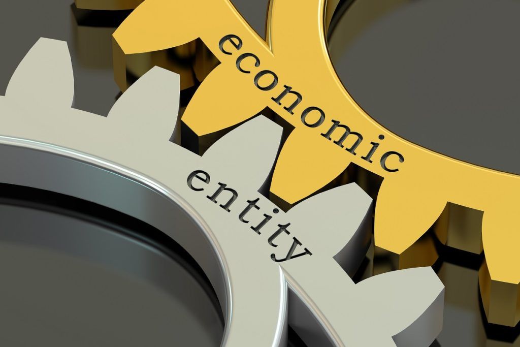 Entity - Definition, Economic Entity Assumption, Types