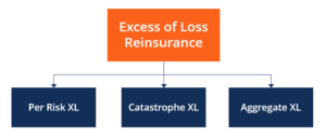 Xol Insurance Example Excess of Loss Insurance - Definition, Purpose, Types