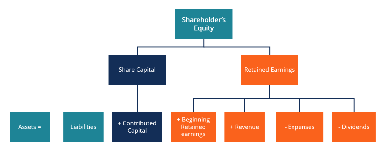 Metadata type. Shareholders examples. Shareholder liability and share Capital. Different shareholders.