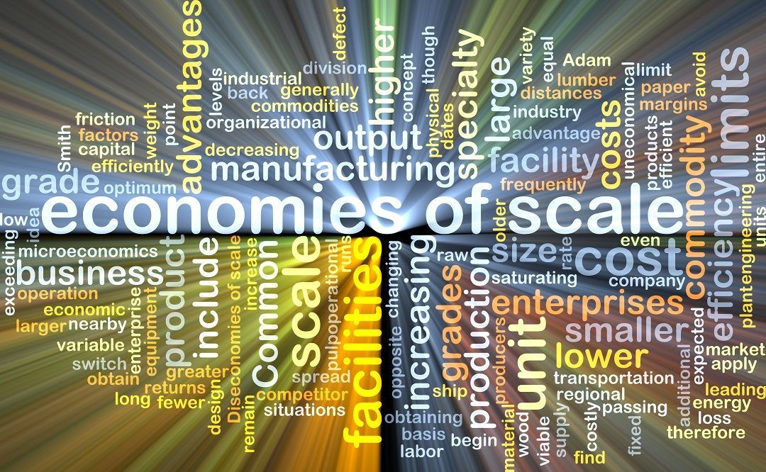 Economy Scales