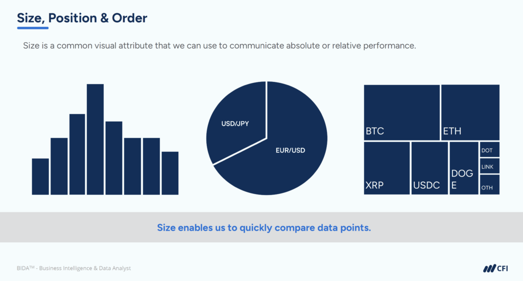 Financial Dashboards That Drive Decisions - Size, Position, & Order