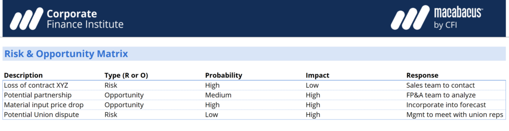 Risk and Opportunity (R&O) Matrix
