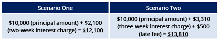 Grace Period - Overview, How It Works, Impact on Credit