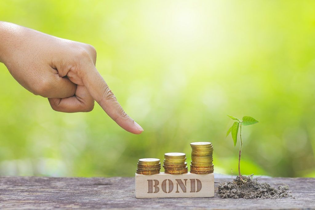 Investor Statement  Climate Bonds Initiative