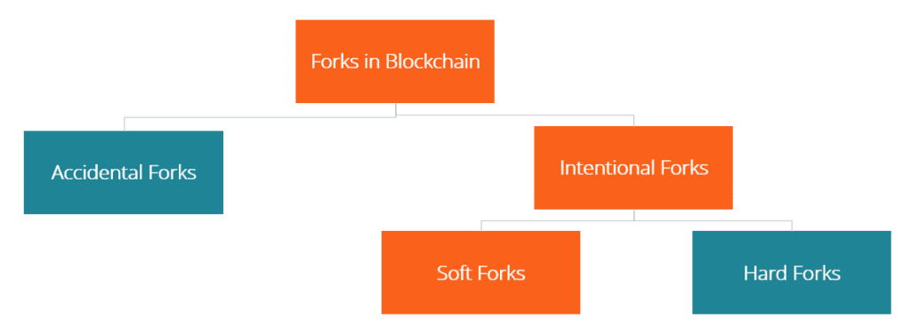 Forks in a Blockchain