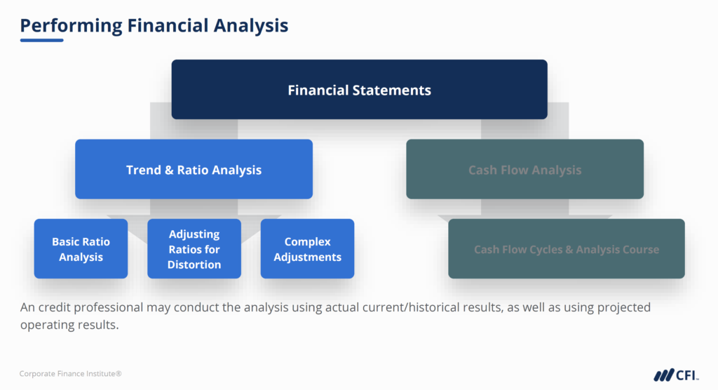 Performing Financial Analysis