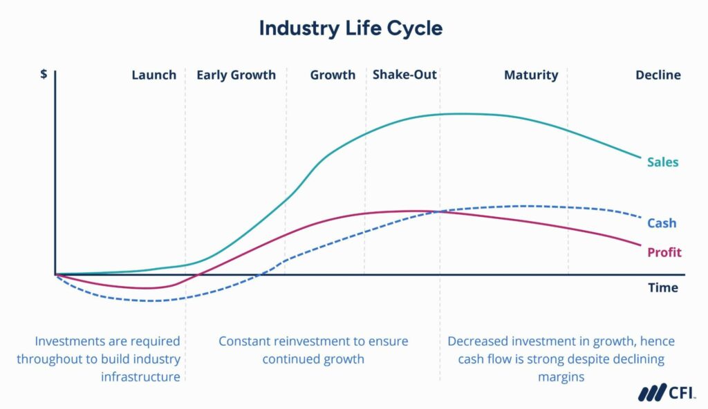 Industry Life Cycle Definition, Stages, Consideration