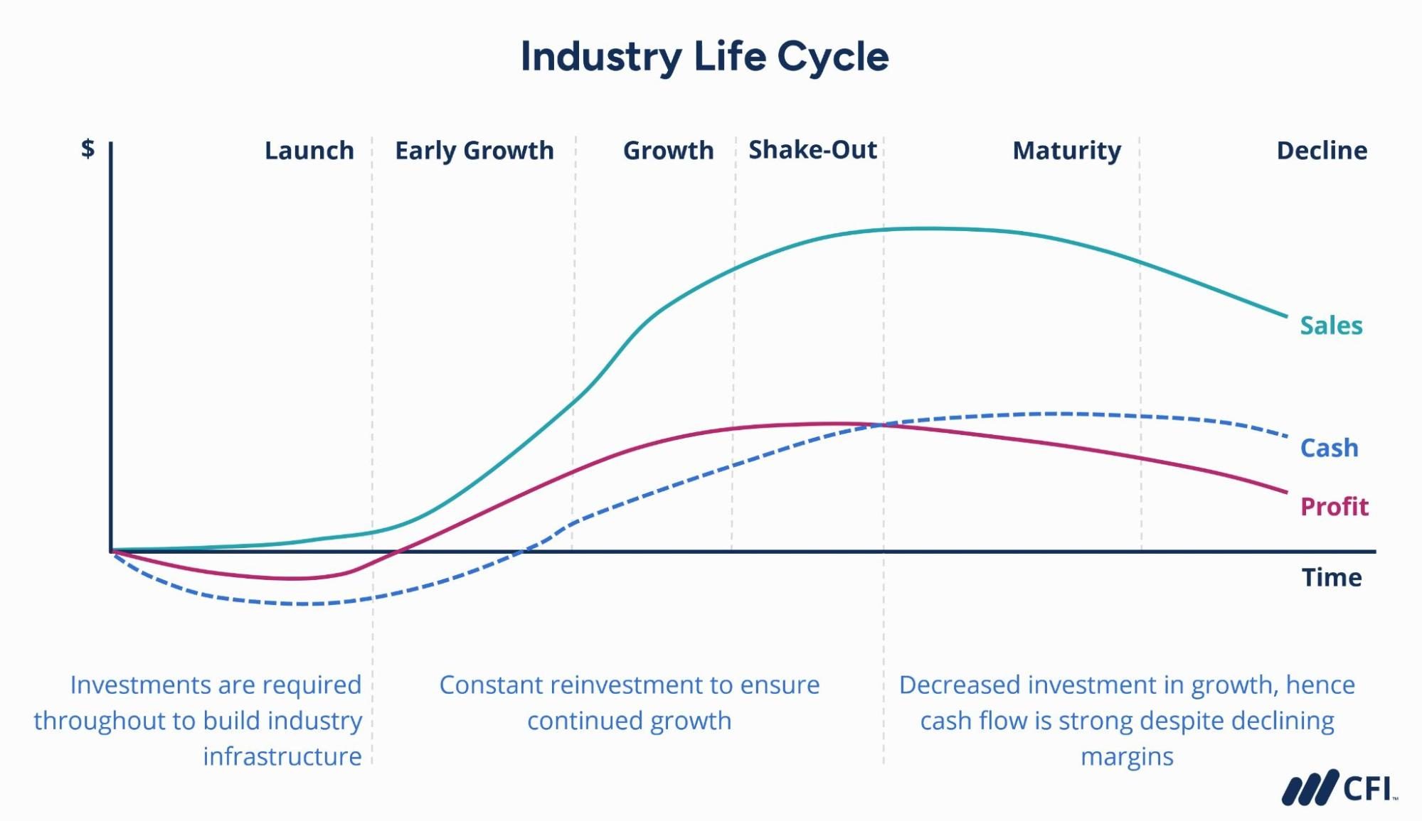 The 6 Stages of the Product Life Cycle [+Examples]