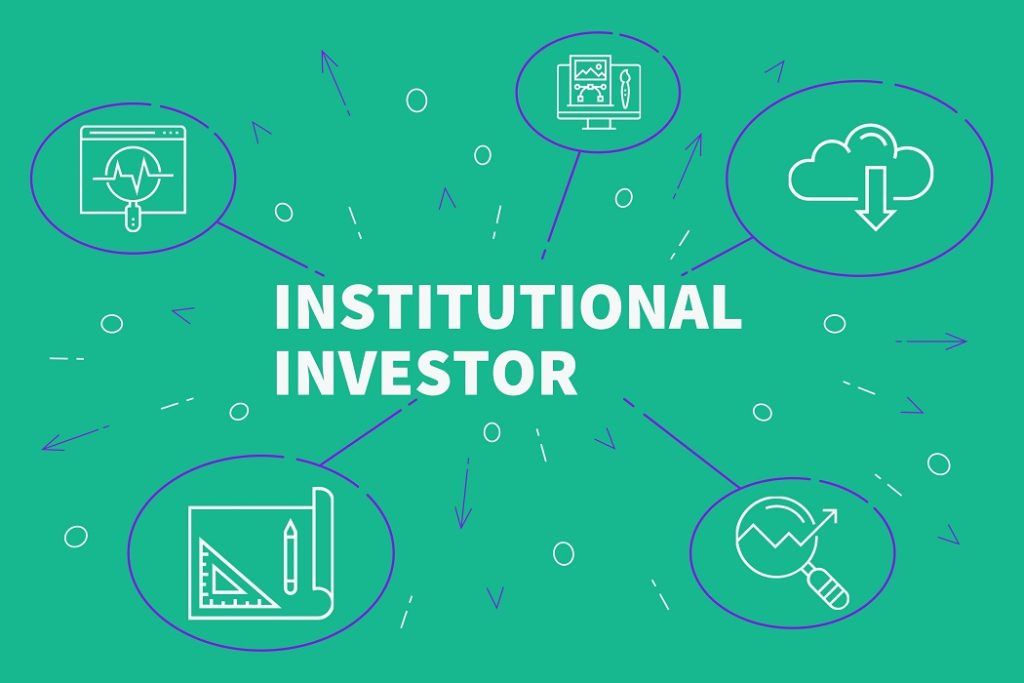 Institutional Investor - Overview, Types, Investing Risks