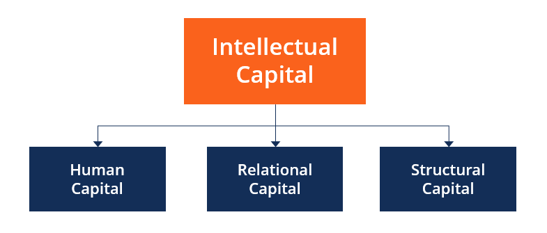 Intellectual Capital - Categories