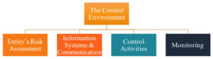 Control Environment In Internal Control Internal Controls - Overview, Limitations, Components