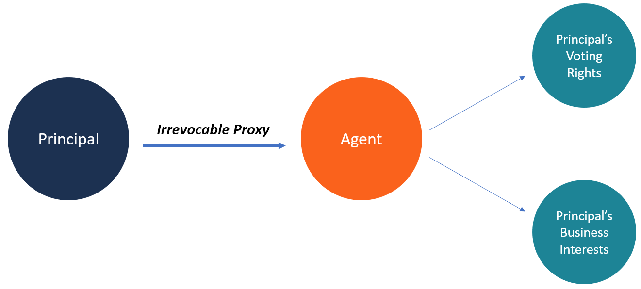 Proxy Definition, How It Works, Statements, Benefits, and Example