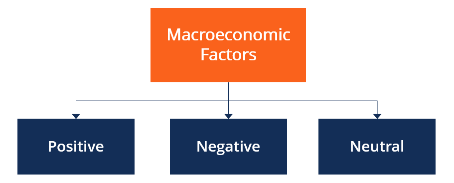 Factor macroeconómico - Tipos