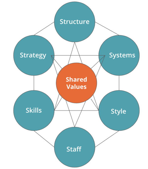 McKinsey 7S Model - Overview, Structure and Application, Example