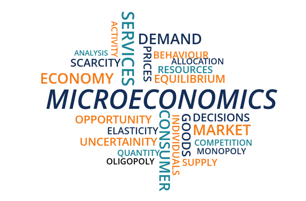 Microeconomics homework help online