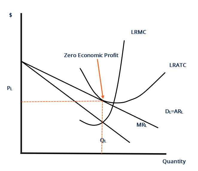 Long-Run Decisions on Output and Price