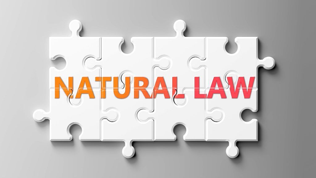 Natural Law Overview History Importance Example